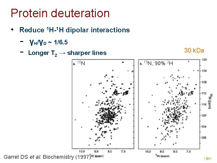 Protein deuteration • Reduce 1 H-1 H dipolar interactions - γH/γD ~ 1/6. 5