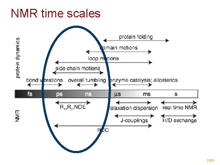 NMR time scales 21/81 