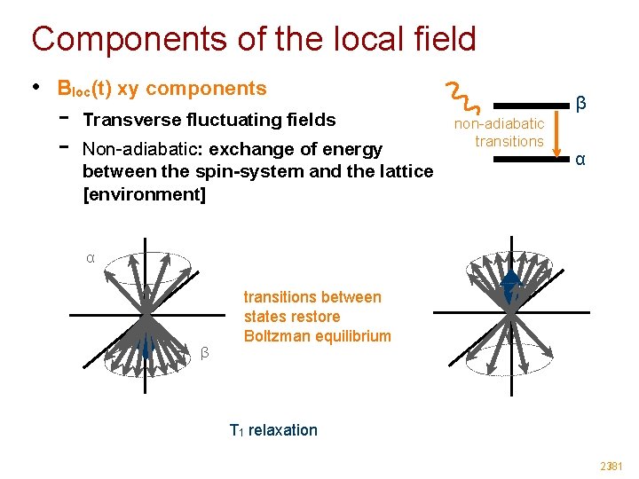 Components of the local field • Bloc(t) xy components - Transverse fluctuating fields Non-adiabatic: