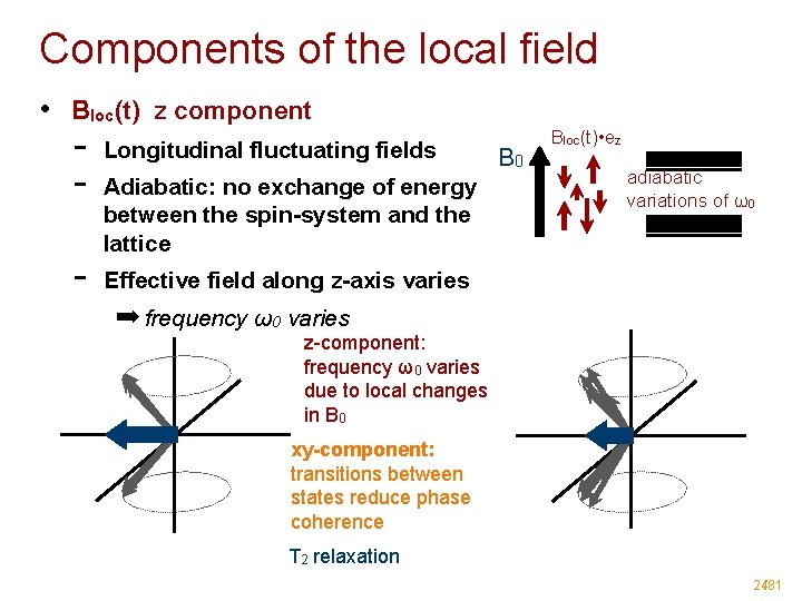 Components of the local field • Bloc(t) z component - Longitudinal fluctuating fields Adiabatic: