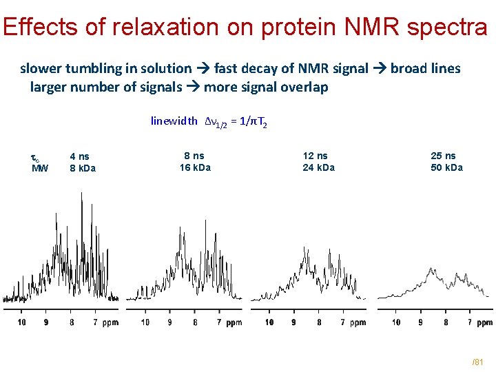 Effects of relaxation on protein NMR spectra slower tumbling in solution fast decay of
