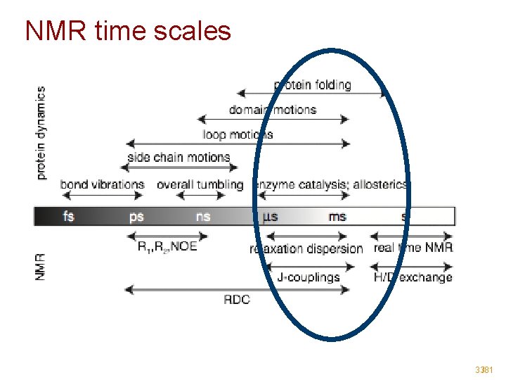 NMR time scales 33/81 NMR time scales 33/81
