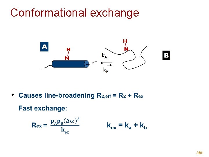 Conformational exchange • 35/81 Conformational exchange • 35/81
