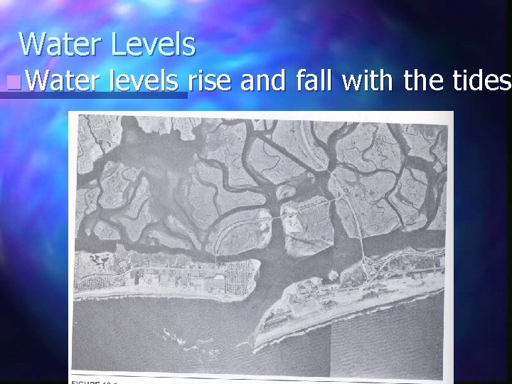 Water Levels n Water levels rise and fall with the tides Water Levels n Water levels rise and fall with the tides