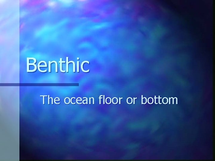 Benthic The ocean floor or bottom Benthic The ocean floor or bottom