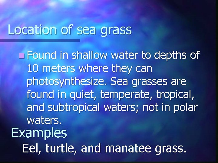 Location of sea grass n Found in shallow water to depths of 10 meters Location of sea grass n Found in shallow water to depths of 10 meters