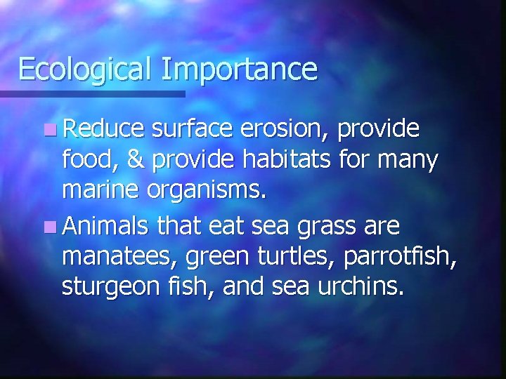 Ecological Importance n Reduce surface erosion, provide food, & provide habitats for many marine Ecological Importance n Reduce surface erosion, provide food, & provide habitats for many marine
