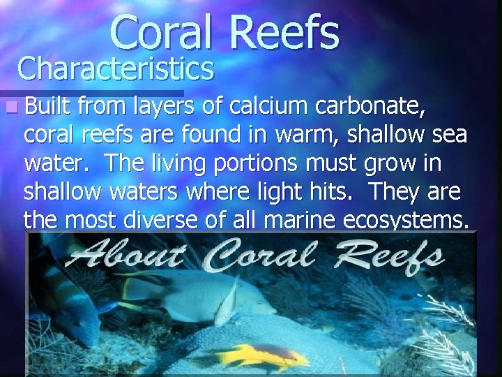 Coral Reefs Characteristics n Built from layers of calcium carbonate, coral reefs are found Coral Reefs Characteristics n Built from layers of calcium carbonate, coral reefs are found