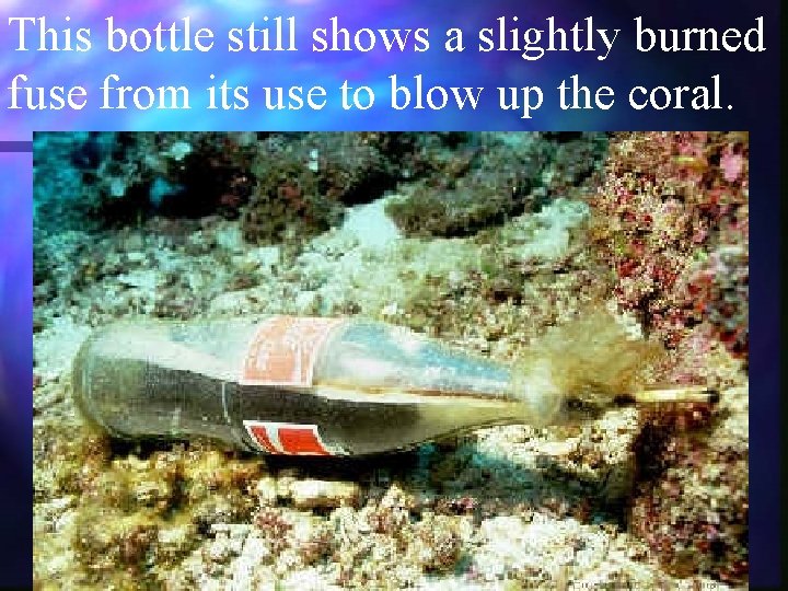 This bottle still shows a slightly burned fuse from its use to blow up This bottle still shows a slightly burned fuse from its use to blow up