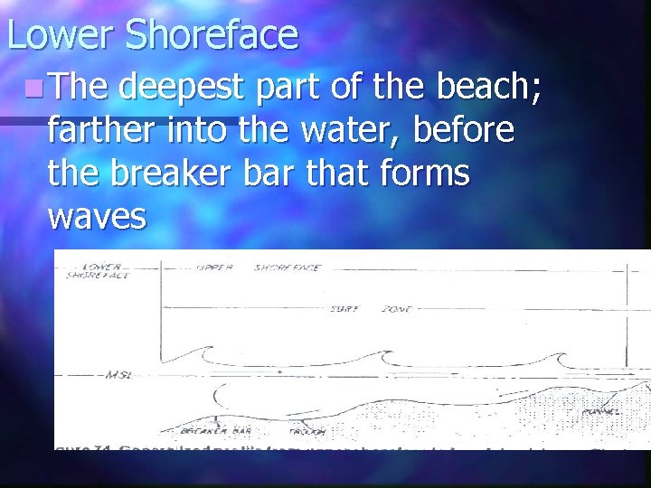 Lower Shoreface n The deepest part of the beach; farther into the water, before Lower Shoreface n The deepest part of the beach; farther into the water, before