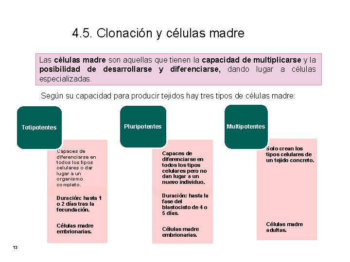 4. 5. Clonación y células madre Las células madre son aquellas que tienen la