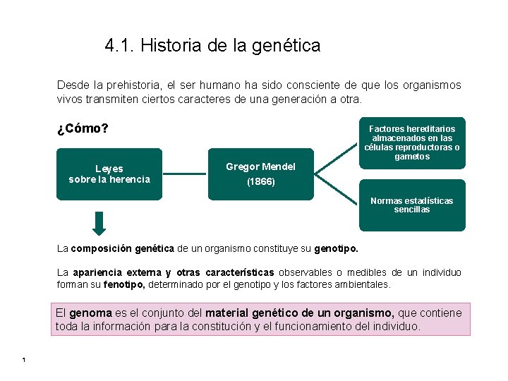 4. 1. Historia de la genética Desde la prehistoria, el ser humano ha sido