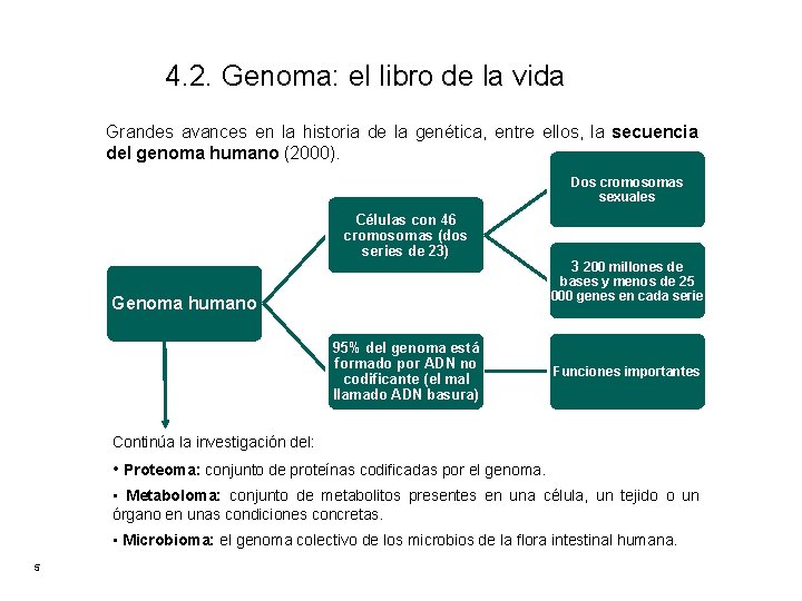 4. 2. Genoma: el libro de la vida Grandes avances en la historia de
