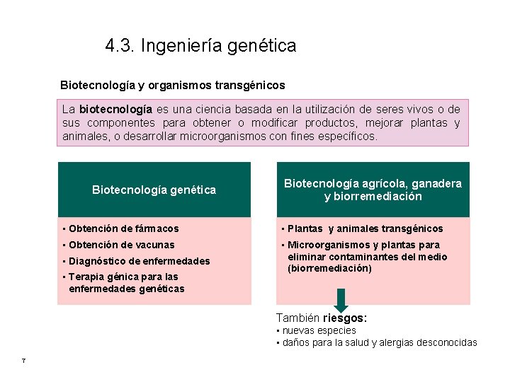 4. 3. Ingeniería genética Biotecnología y organismos transgénicos La biotecnología es una ciencia basada