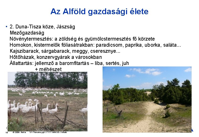 Az Alföld gazdasági élete • 2. Duna-Tisza köze, Jászság Mezőgazdaság Növénytermesztés: a zöldség és