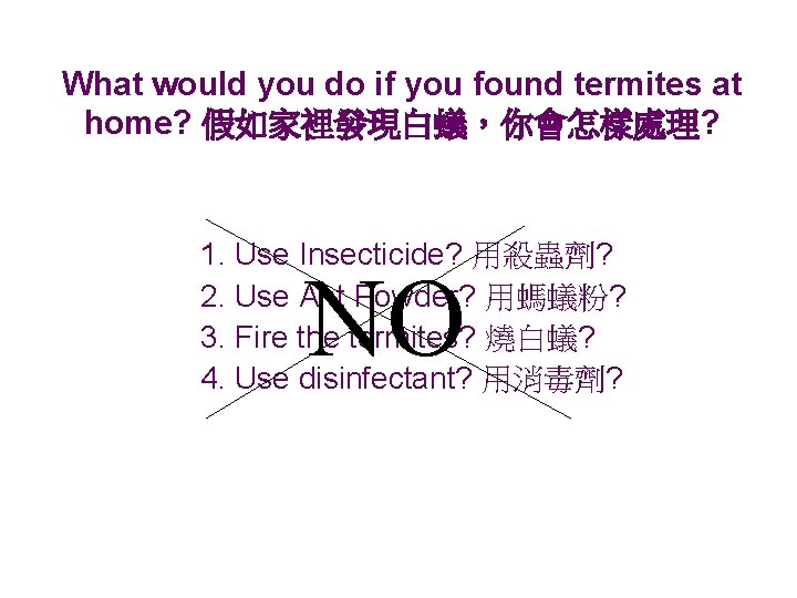What would you do if you found termites at home? 假如家裡發現白蟻，你會怎樣處理? 1. Use Insecticide?