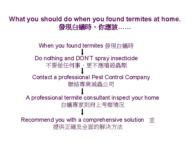 What you should do when you found termites at home. 發現白蟻時，你應該…… When you found