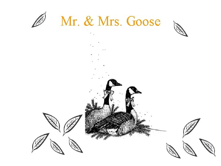 Mr. & Mrs. Goose 