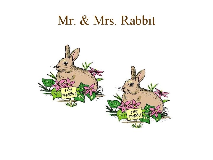 Mr. & Mrs. Rabbit 