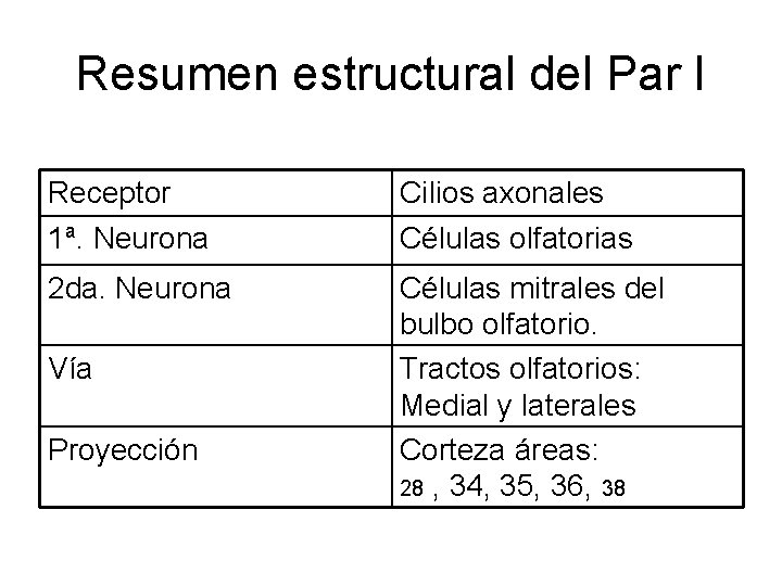 Resumen estructural del Par I Receptor 1ª. Neurona Cilios axonales Células olfatorias 2 da.