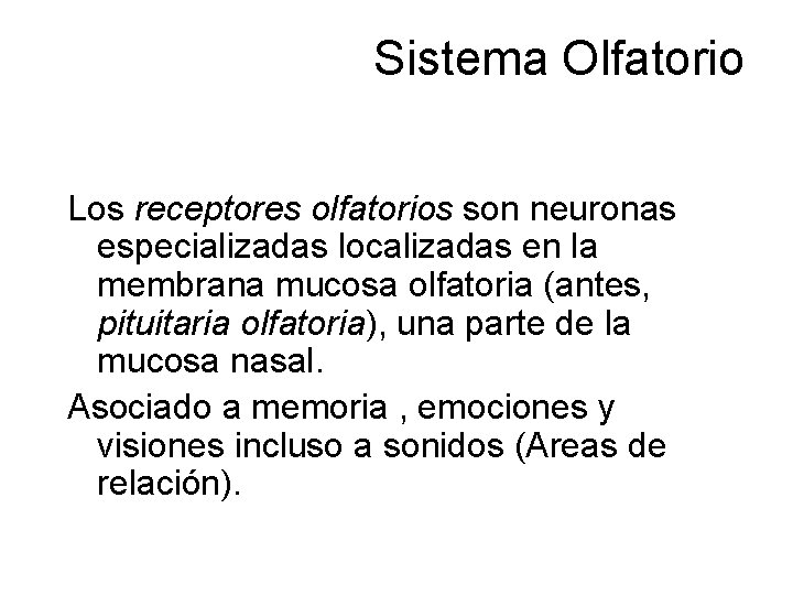 Sistema Olfatorio Los receptores olfatorios son neuronas especializadas localizadas en la membrana mucosa olfatoria