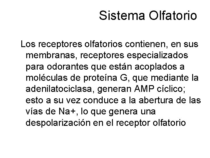 Sistema Olfatorio Los receptores olfatorios contienen, en sus membranas, receptores especializados para odorantes que