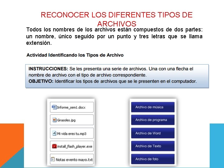 RECONOCER LOS DIFERENTES TIPOS DE ARCHIVOS Todos los nombres de los archivos están compuestos RECONOCER LOS DIFERENTES TIPOS DE ARCHIVOS Todos los nombres de los archivos están compuestos