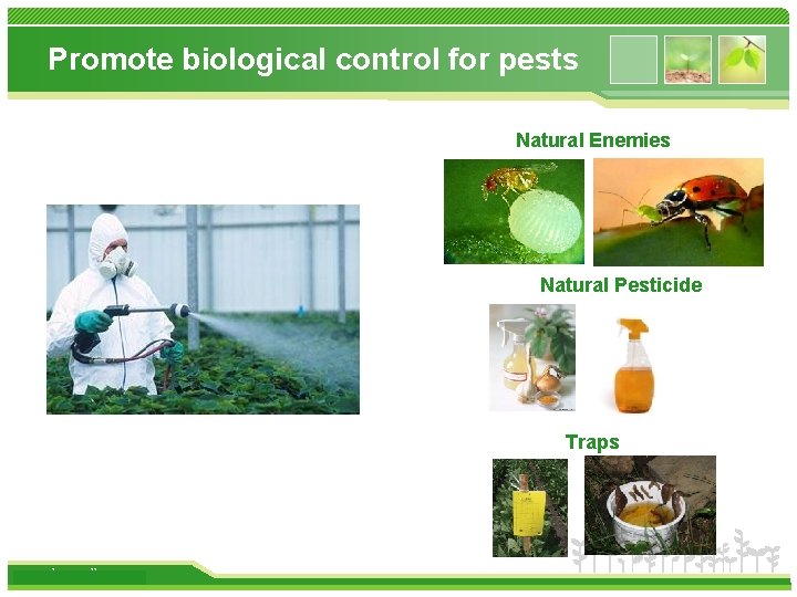 Promote biological control for pests Natural Enemies Natural Pesticide Traps www. themegallery. com 