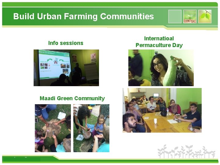 Build Urban Farming Communities Info sessions Maadi Green Community www. themegallery. com Internatioal Permaculture