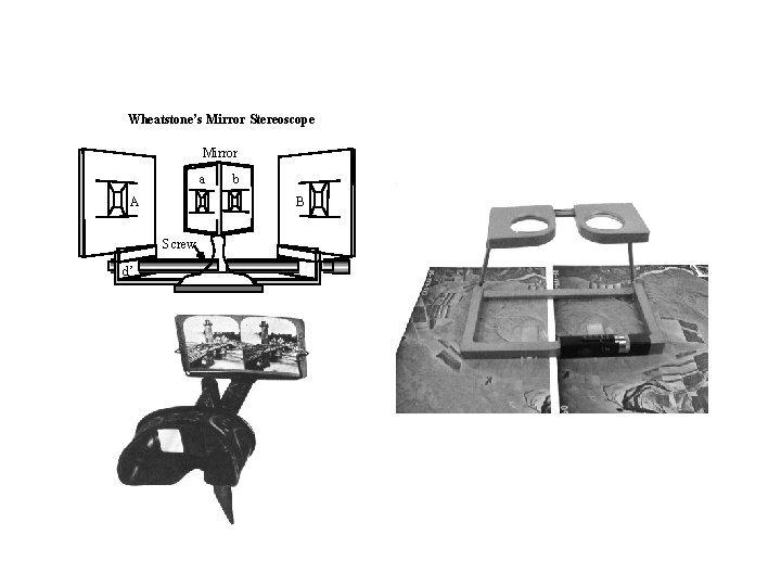 Wheatstone’s Mirror Stereoscope Mirror a A B Screw d’ b 