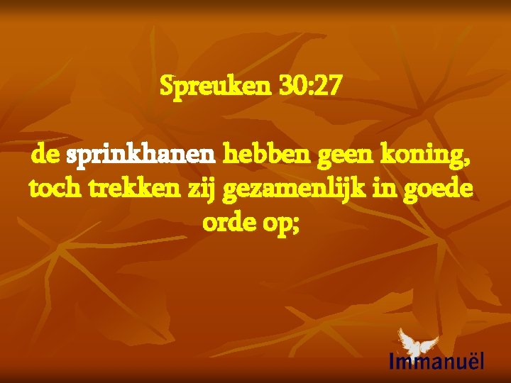 Spreuken 30: 27 de sprinkhanen hebben geen koning, toch trekken zij gezamenlijk in goede