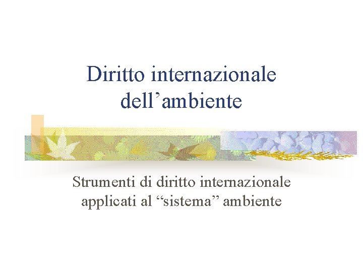 Diritto internazionale dell’ambiente Strumenti di diritto internazionale applicati al “sistema” ambiente 