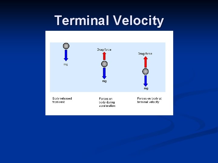 Terminal Velocity Terminal Velocity