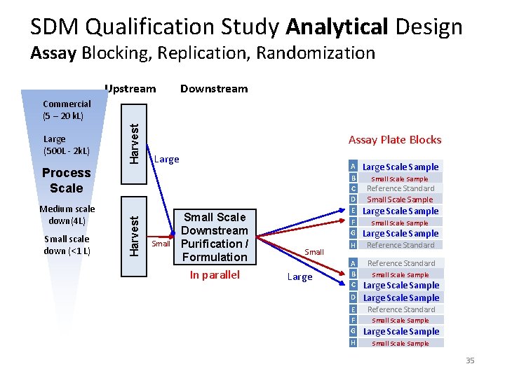 SDM Qualification Study Analytical Design Assay Blocking, Replication, Randomization Upstream Downstream Large (500 L