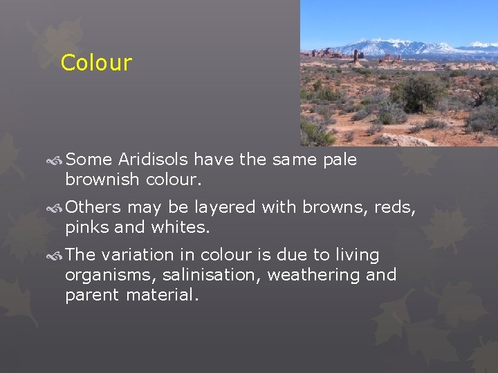 Colour Some Aridisols have the same pale brownish colour. Others may be layered with