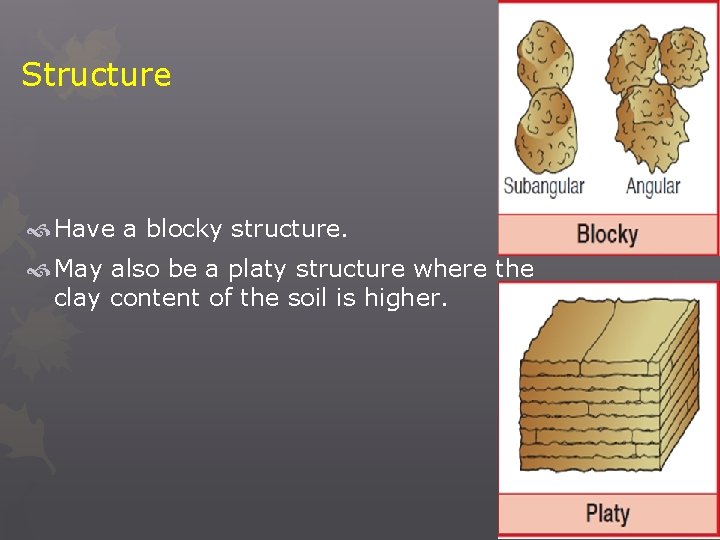 Structure Have a blocky structure. May also be a platy structure where the clay