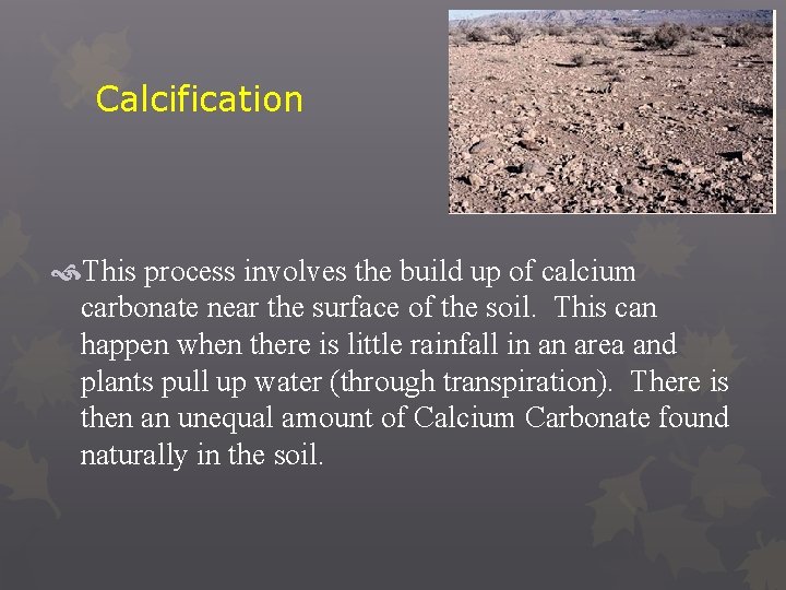 Calcification This process involves the build up of calcium carbonate near the surface of