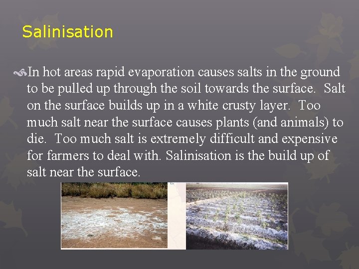 Salinisation In hot areas rapid evaporation causes salts in the ground to be pulled