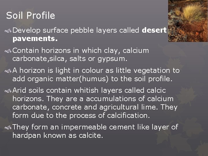 Soil Profile Develop surface pebble layers called desert pavements. Contain horizons in which clay,