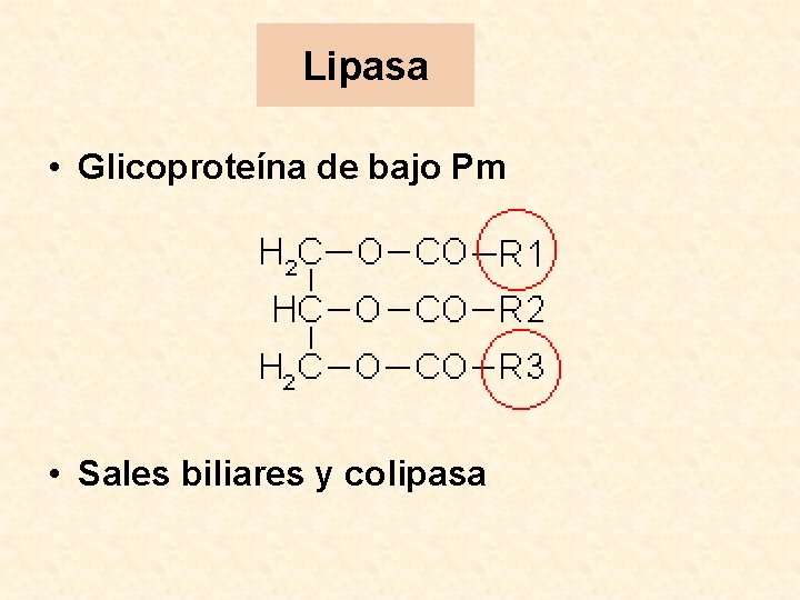 Lipasa • Glicoproteína de bajo Pm • Sales biliares y colipasa 