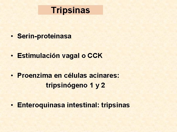 Tripsinas • Serin-proteinasa • Estimulación vagal o CCK • Proenzima en células acinares: tripsinógeno