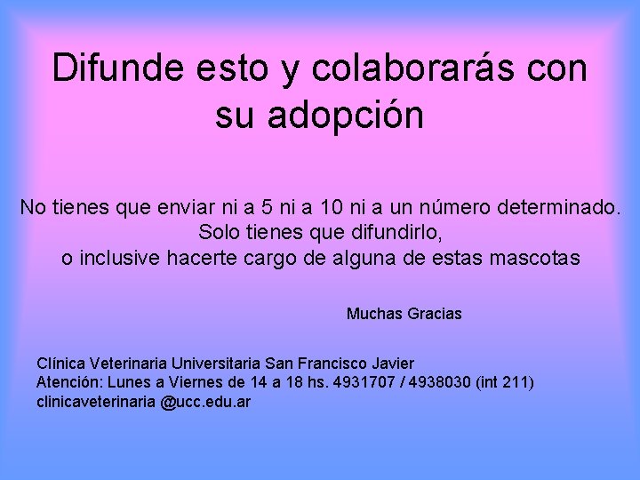 Difunde esto y colaborarás con su adopción No tienes que enviar ni a 5