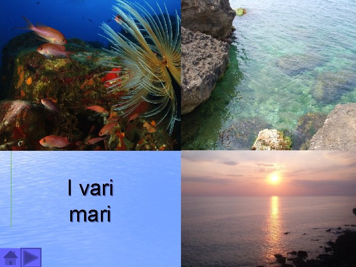 I vari mari 