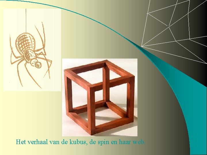 Het verhaal van de kubus, de spin en haar web. 