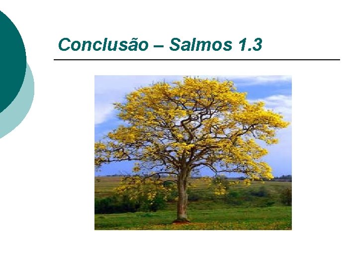 Conclusão – Salmos 1. 3 