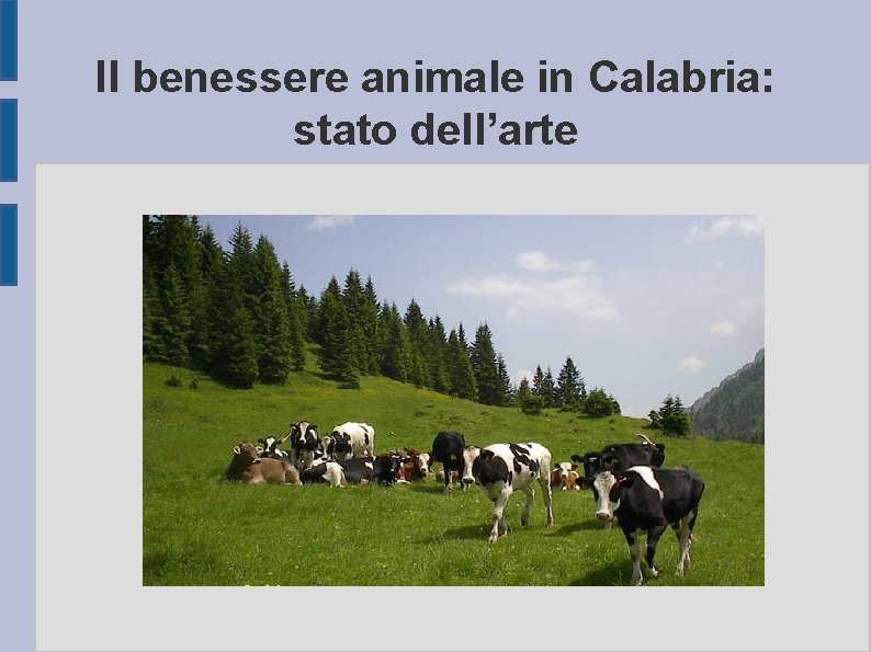 Il benessere animale in Calabria: stato dell’arte 
