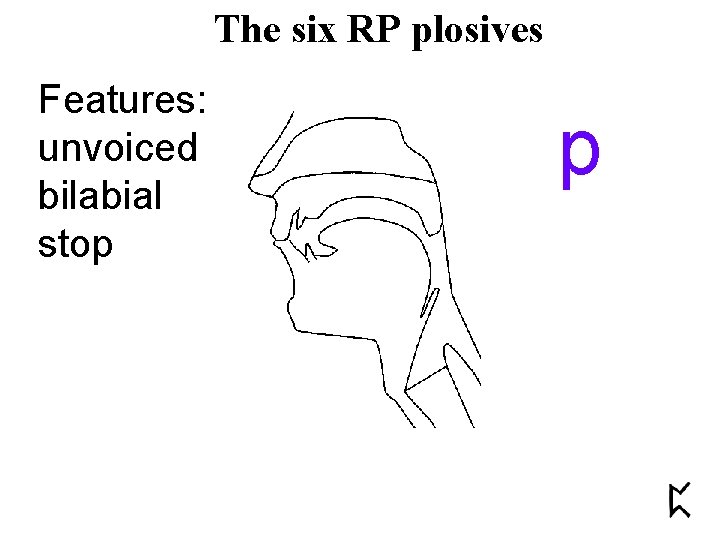 The six RP plosives Features: unvoiced bilabial stop p 