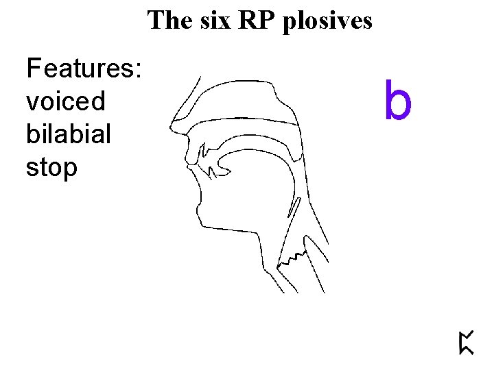 The six RP plosives Features: voiced bilabial stop b 