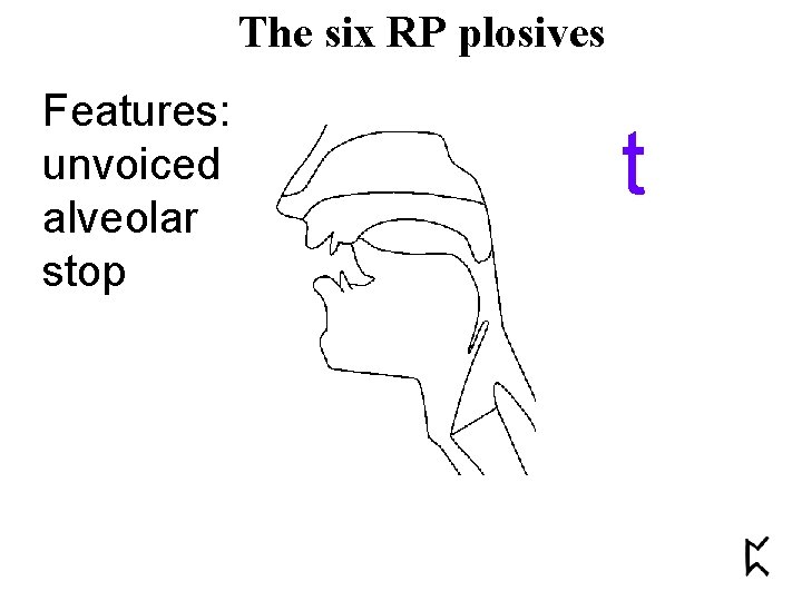 The six RP plosives Features: unvoiced alveolar stop t 