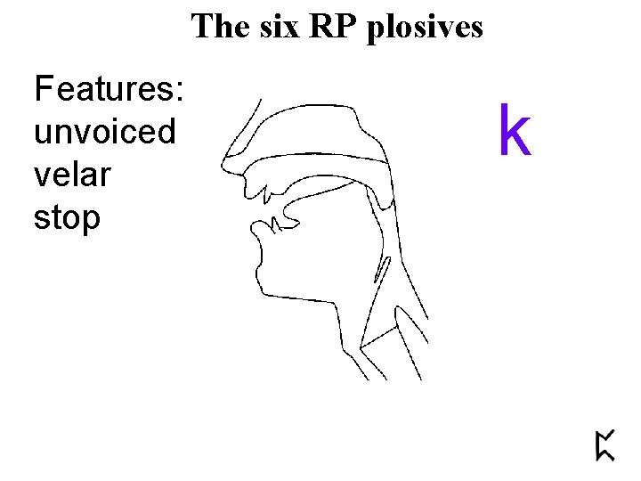 The six RP plosives Features: unvoiced velar stop k 